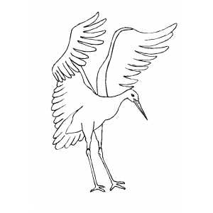 Crane Going Down Coloring Sheet 