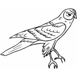 Disappointed Bird Coloring Sheet 