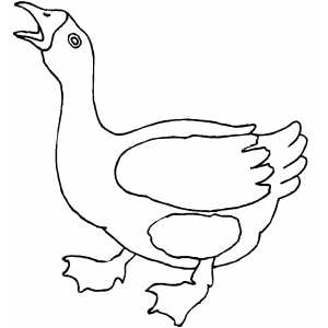 Ducking Goose Coloring Sheet 