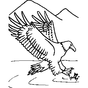 Eagle Coloring Sheet 