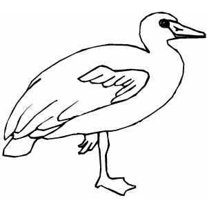 Goose On One Leg Coloring Sheet 