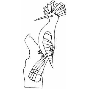 Hoopoe Coloring Sheet 