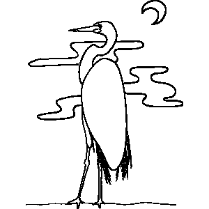 Kingfisher Bird Coloring Sheet 