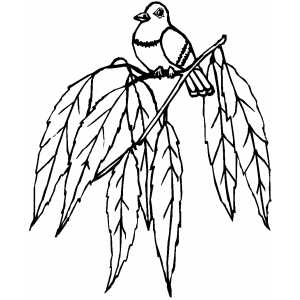 Little Bird On Branch With Leafes Coloring Sheet 