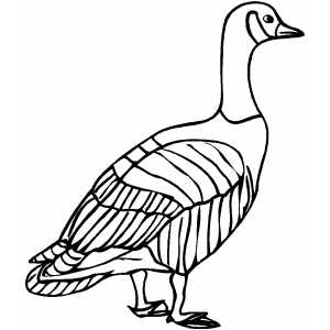 Old Goose Coloring Sheet 