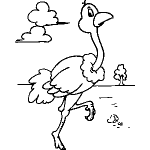 Ostrich Coloring Sheet 