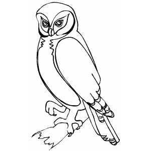 Owl On Tree Coloring Sheet 