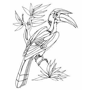 Parrot on Tree Coloring Sheet 