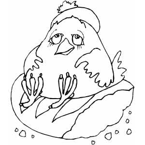 Plump Chick Coloring Sheet 
