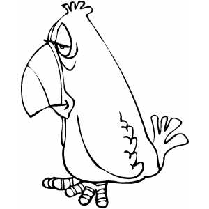 Sad Parrot Coloring Sheet 