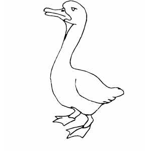 Severe Goose Coloring Sheet 