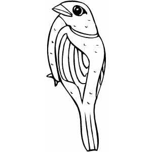 Sparrow Coloring Sheet 