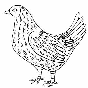 Speckled Chicken Coloring Sheet 