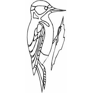 Woodpecker Coloring Sheet 