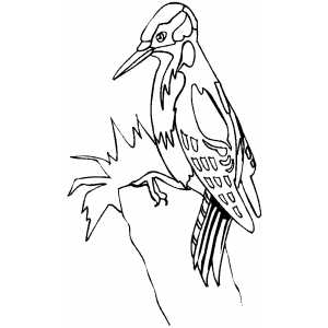 Woodpecker On Tree Coloring Sheet 