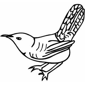 Wren Coloring Sheet 