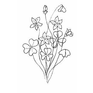 Bunch Of Flowers Coloring Sheet 