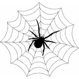 Spider Web Coloring Sheet 