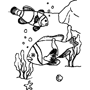 Clownfish Coloring Sheet 