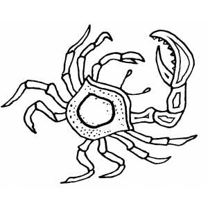 Crab Coloring Sheet 