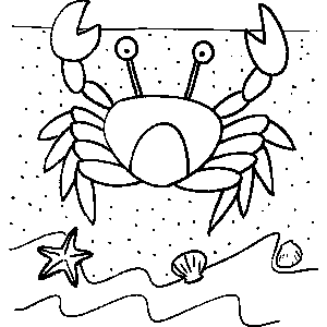 Crab and Shells Coloring Sheet 