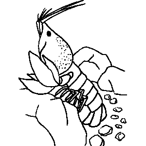 Lobster In The Water Coloring Sheet 