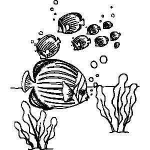 Marine Angelfish Coloring Sheet 