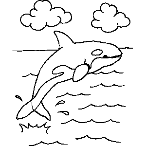 Orca Whale Coloring Sheet 