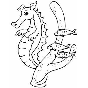 Seahorse With Fishes Coloring Sheet 