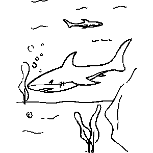 Sharks Coloring Sheet 