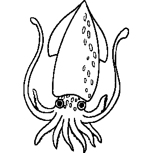 Squid Coloring Sheet 