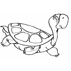 Swimming Turtle Coloring Sheet 