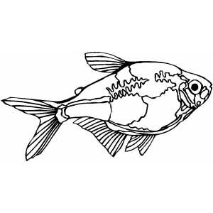 Tetra Coloring Sheet 