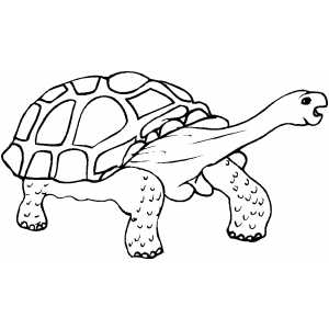 Walking Tortoise Coloring Sheet 