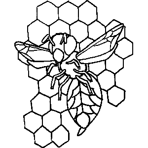 Bee in Hive Coloring Sheet 