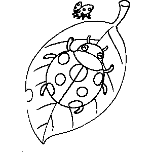 Beetle Coloring Sheet 