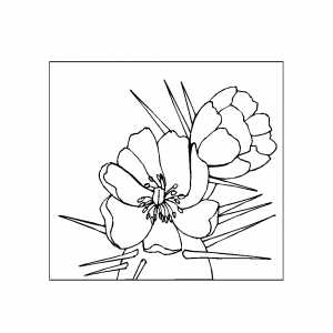 Cactus With Flowers And Big Prickles Coloring Sheet 