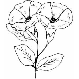 Couple Bell Flowers Coloring Sheet 