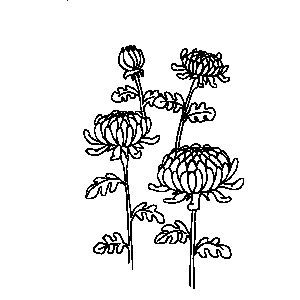 Flowers Coloring Sheet 