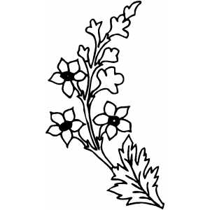 Flowers13 Coloring Sheet 