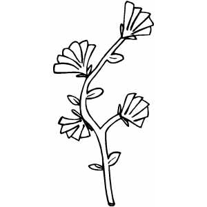 Flowers14 Coloring Sheet 