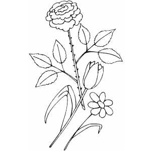 Flowers18 Coloring Sheet 