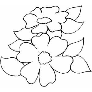 Flowers42 Coloring Sheet 