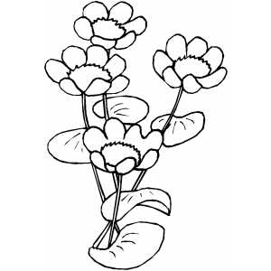 Flowers43 Coloring Sheet 