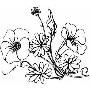 Flowers45 Coloring Sheet 