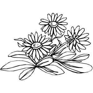 Flowers46 Coloring Sheet 