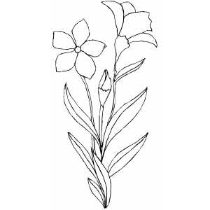 Flowers52 Coloring Sheet 