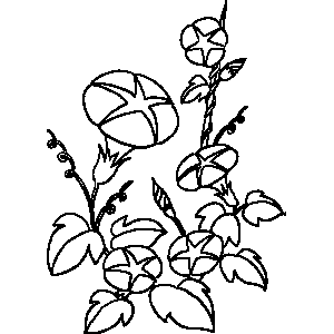 Flowers 3 Coloring Sheet 