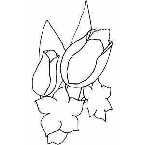 Flowers Ready To Blossom Coloring Sheet 