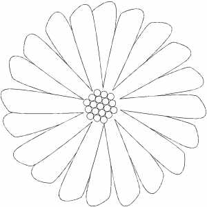 Multiple Petals Flower Coloring Sheet 